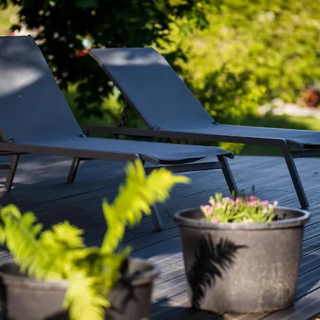 Letniskowe Pod Orzechem Caloroczne *